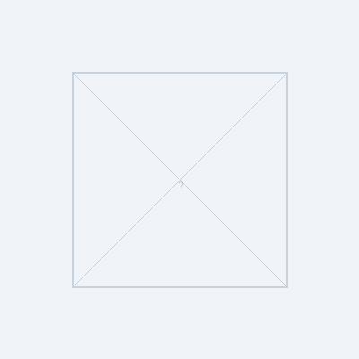 3M 1100 Foam Earplugs